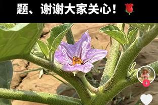 历尽变迁！马夏尔效力曼联期间经历6位主帅，从范加尔到滕哈赫